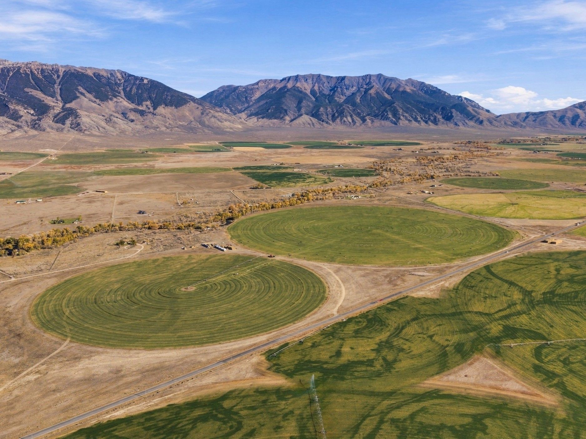 Listing Photo: Custer-County-Idaho-Irrigated-Farm-207-Acres (2)